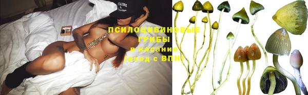 ГАЛЛЮЦИНОГЕННЫЕ ГРИБЫ Абдулино