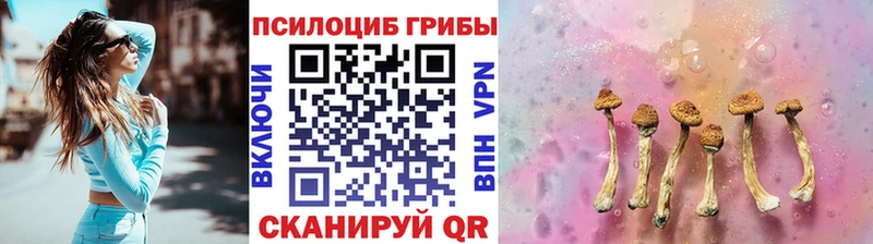Псилоцибиновые грибы ЛСД  Заринск 